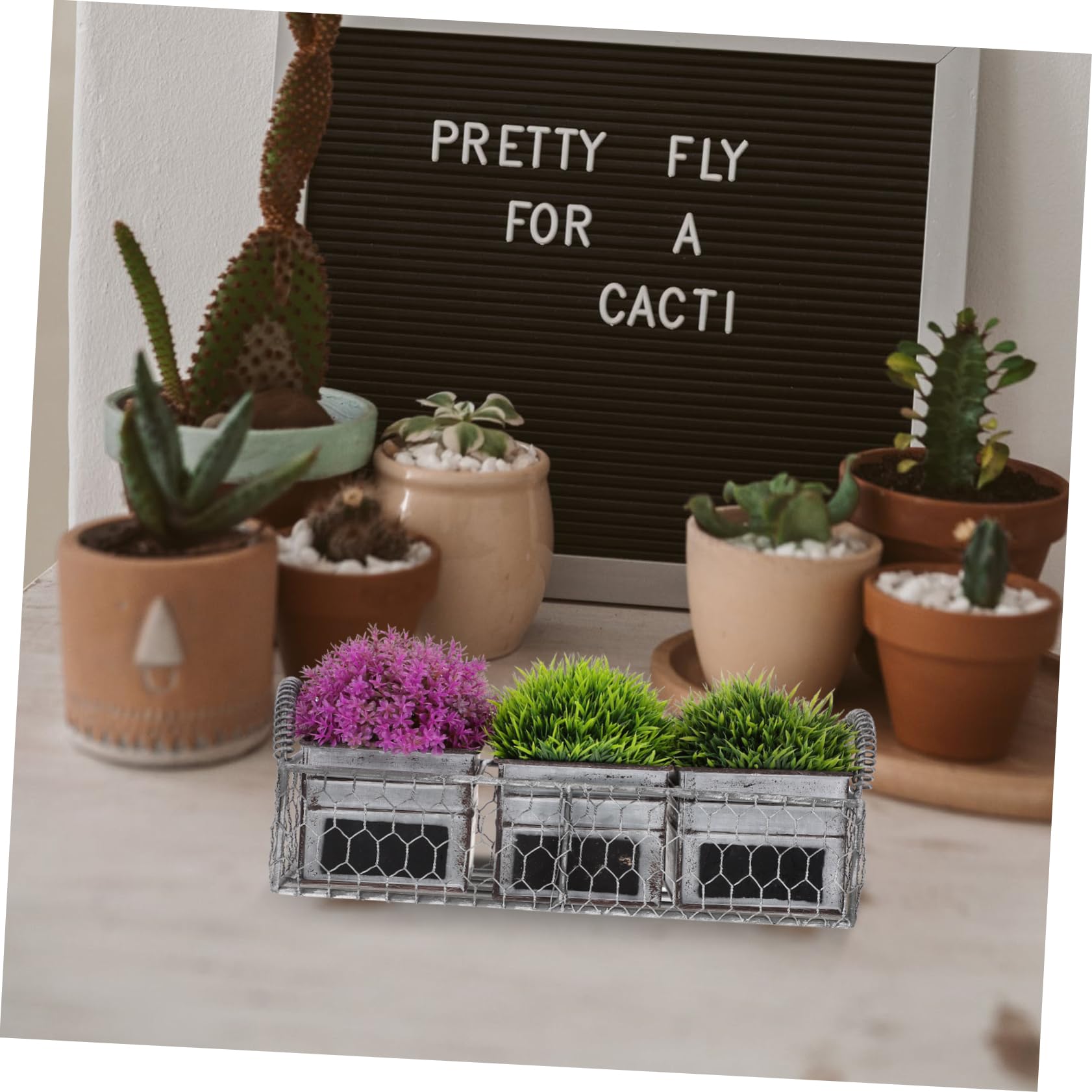 Amazon.co.jp: OFFSCH 多肉植物用鉄製植木鉢 ガーデニング用小型鉢