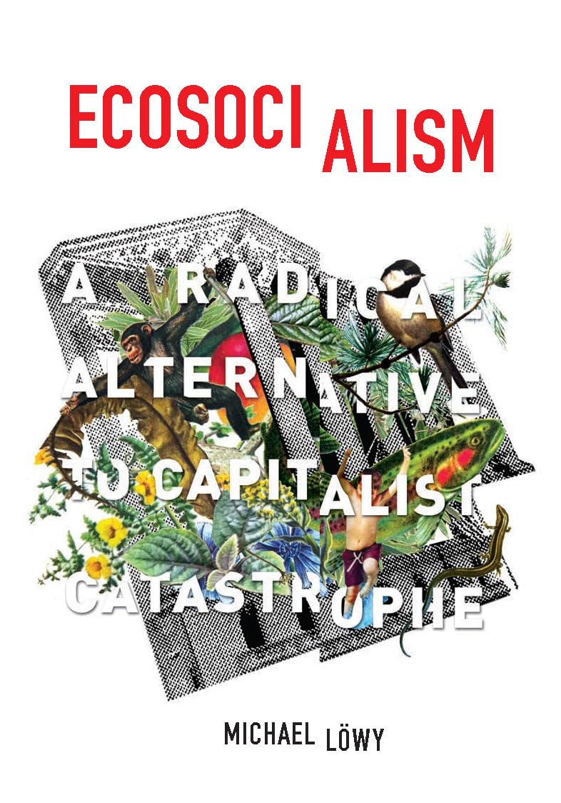 Ecosocialism by Michael Lowy - 9781608464715