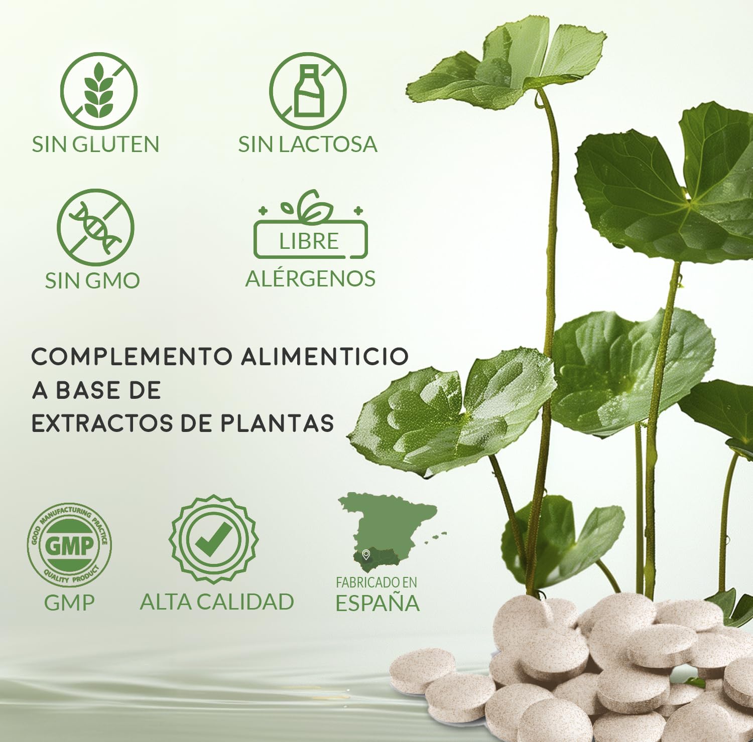 Centella asiatica (complex) 400 mg. (estr. secco) 60 compresse. (Pack 2 pezzi)