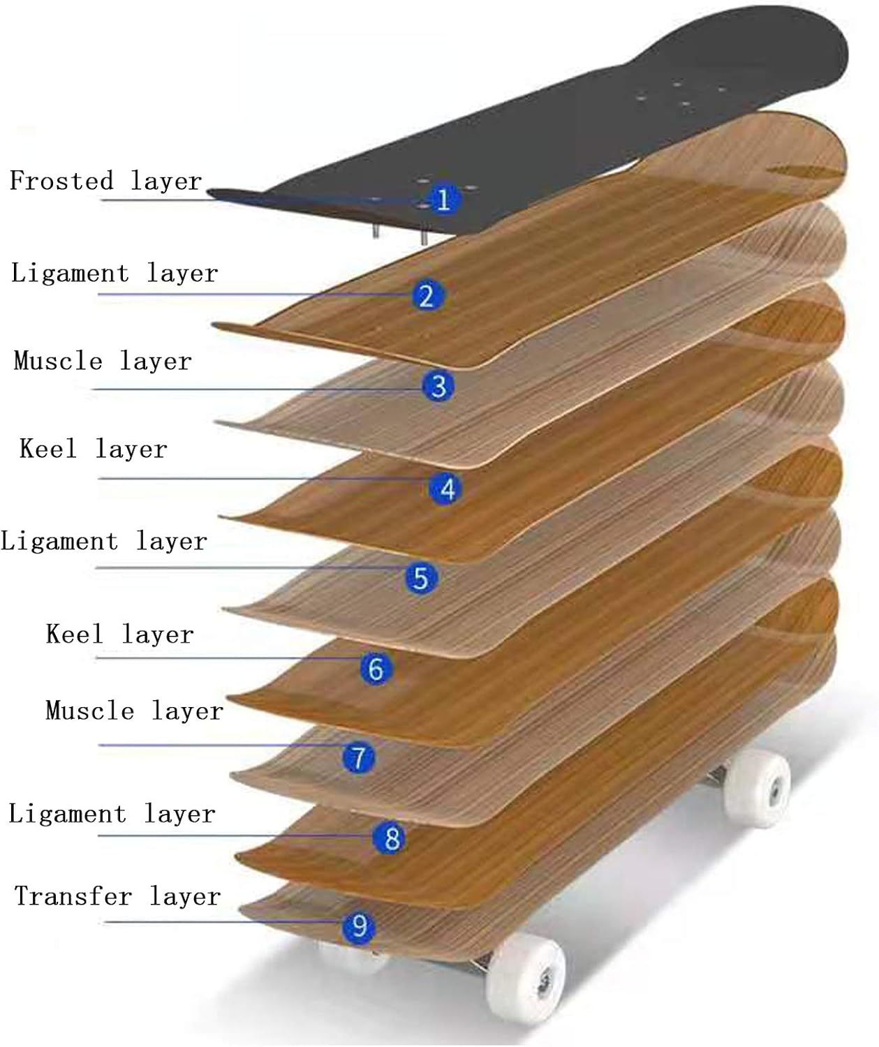 Skateboards for Children 6-12 Years Old Longboard Skateboard Deck Standard Beginner Girls Skateboards 4-6 Years Old Kids Skateboards