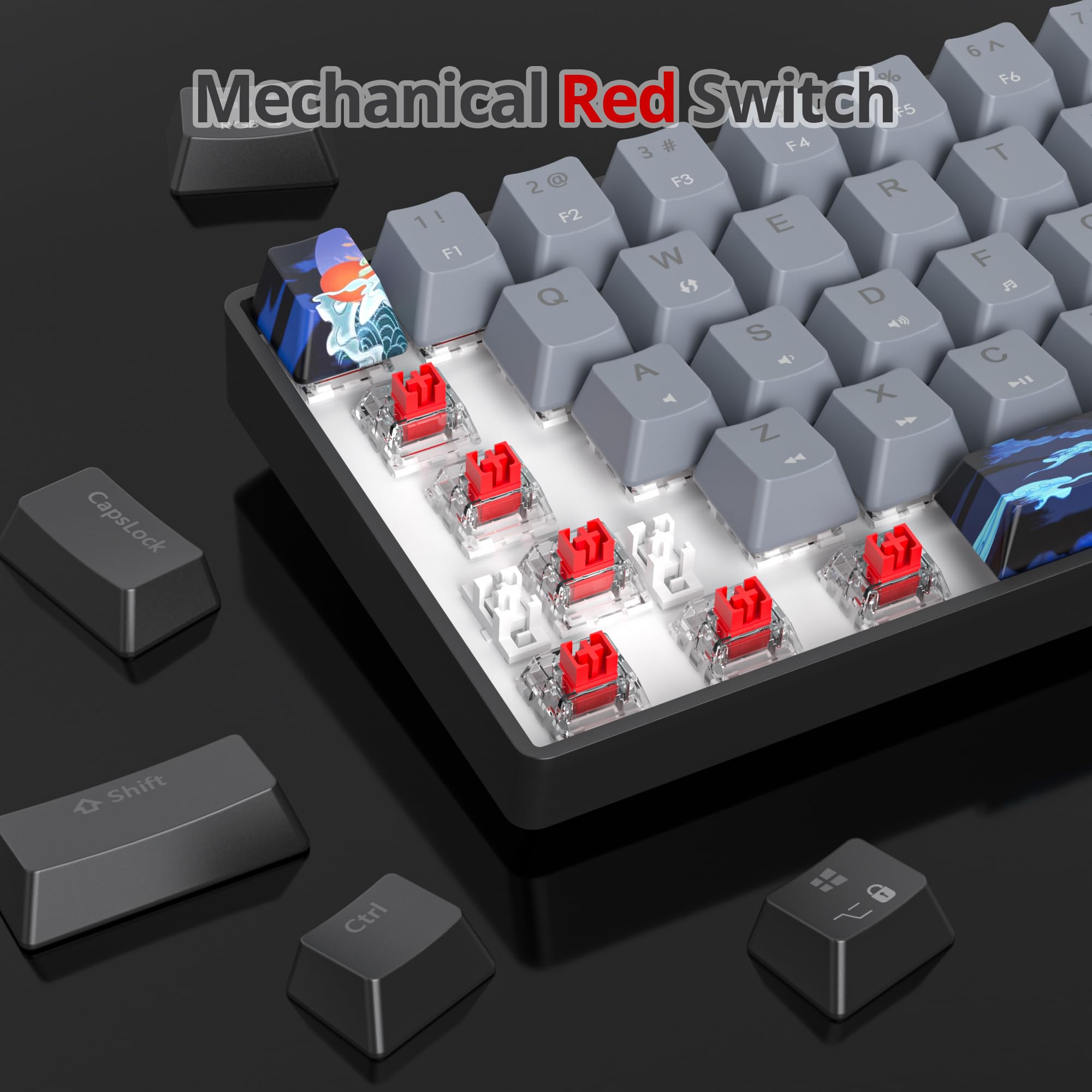 Amazon.com: Ussixchare 60 Percent Gaming Keyboard Portable Wired