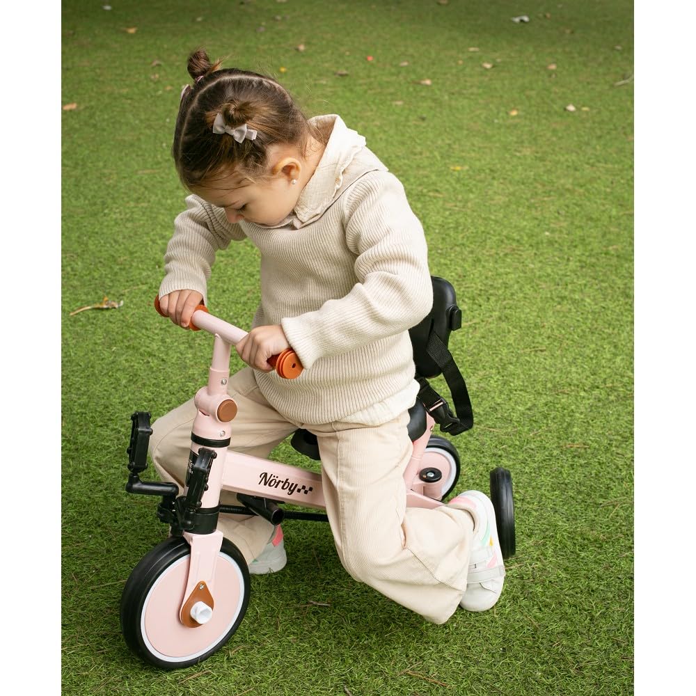 Interbaby - Triciclo "Norby" e Bici Evolutiva 5 in 1 con Capottina - 1-5 Anni