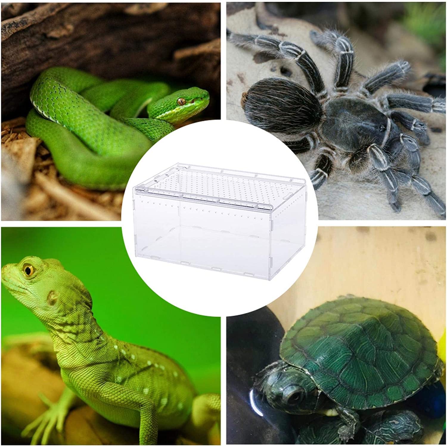 Amazon.co.jp: 飼育ケース 爬虫類 ケージ 昆虫飼育ケース 飼育