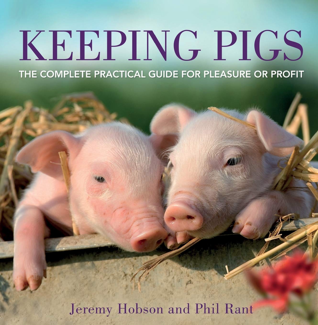 Keeping Pigs by Jeremy Hobson, Phil Rant - 9780715338506