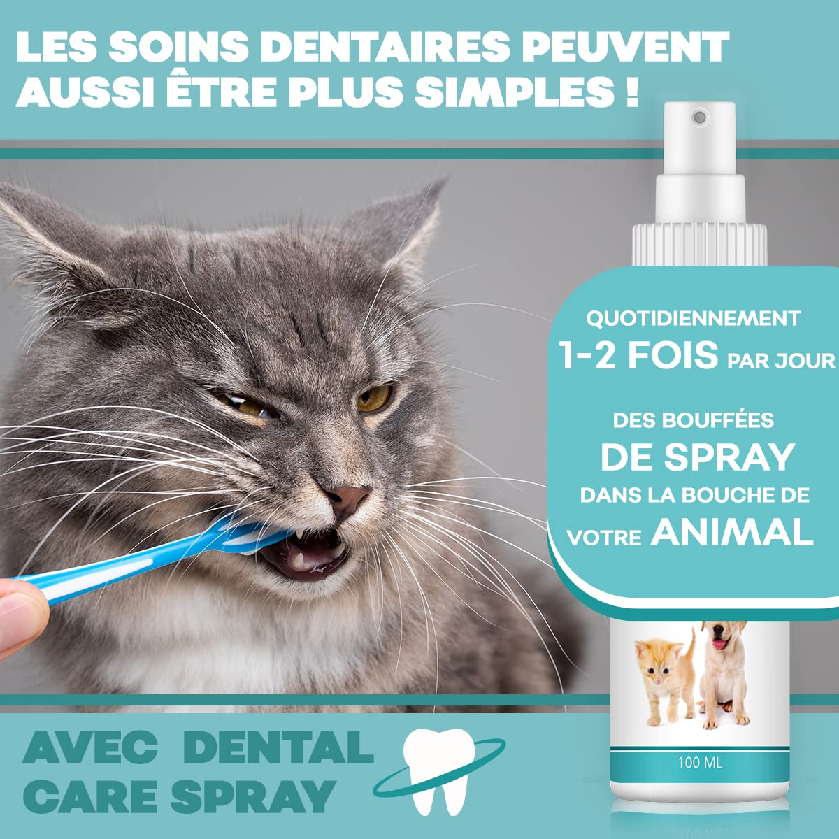 NOUVEAU : HelloAnimal® - SPRAY DENTAIRE pour chiens et chats – détartrage entre les dents – soin dentaire/nettoyage des dents, contre mauvaise haleine, anti-plaque et tartre, contient 100 ml
