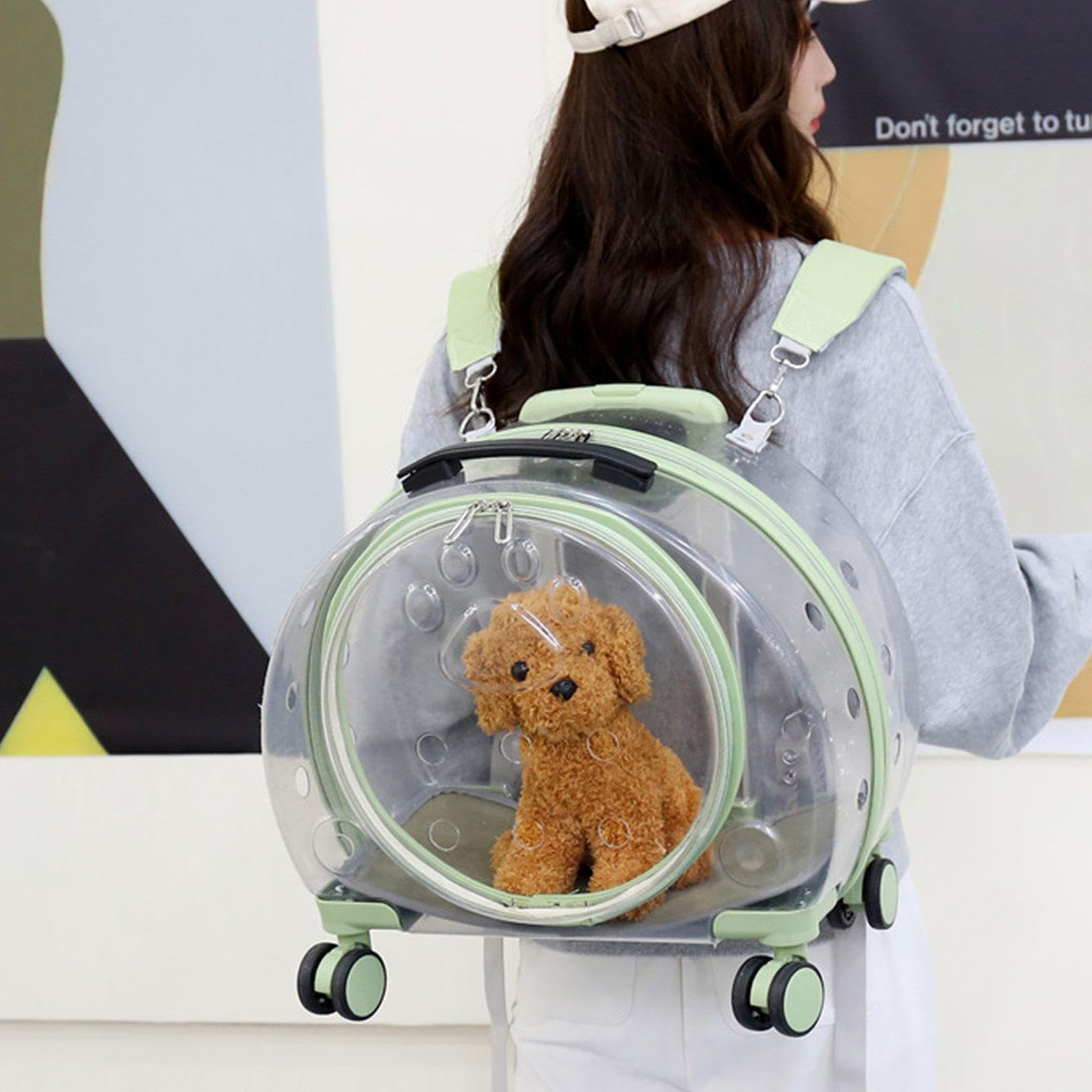 Trasportino per Gatti con Ruote, Trasportino per Cani da Viaggio con Bolle Trasparenti e Respirazione Libera, Trasportino per Gatti Leggero e Rigido,Green A