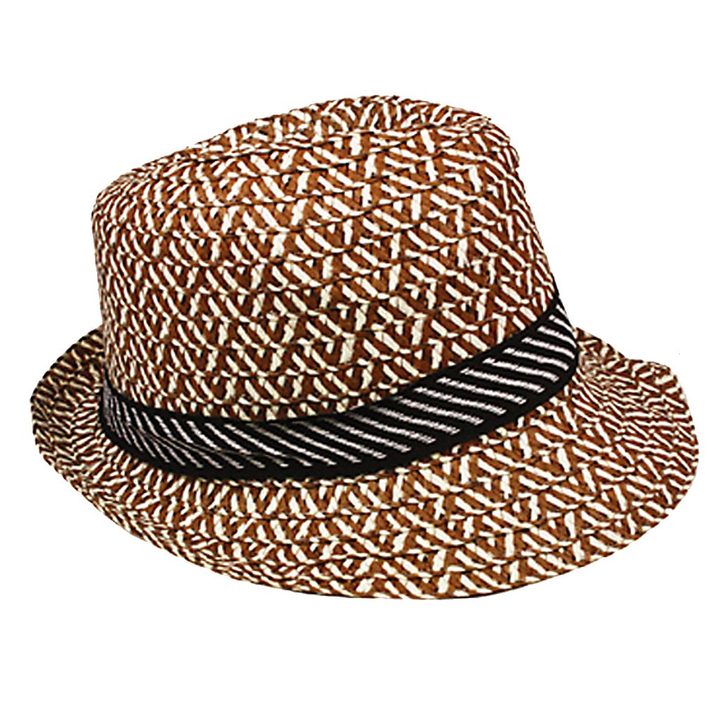 Silver Fever Patterned and Banded Fedora Hat