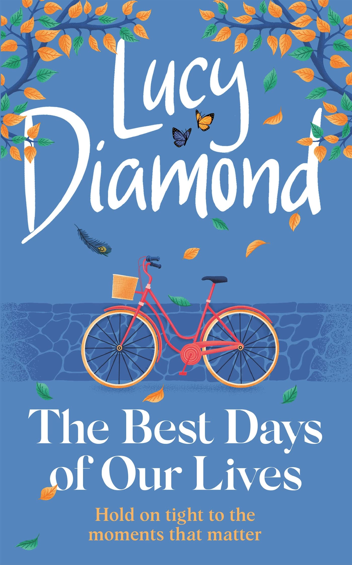 The Best Days of Our Lives: The heartwarming book you won't be able to stop thinking about from bestselling author Lucy Diamond