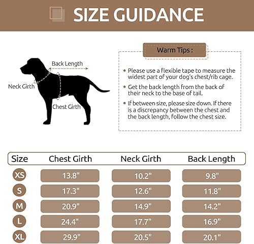 Miniatura 6 de Queenmore Abrigo cálido de invierno para perro, impermeable para clima frío, chaqueta de nieve para perro, sudadera reflectante con capucha para