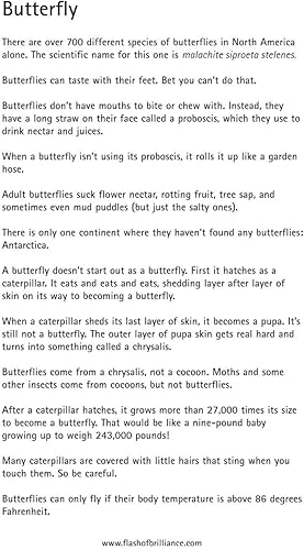 Miniatura 3 de Tarjetas flash de insectos con datos divertidos