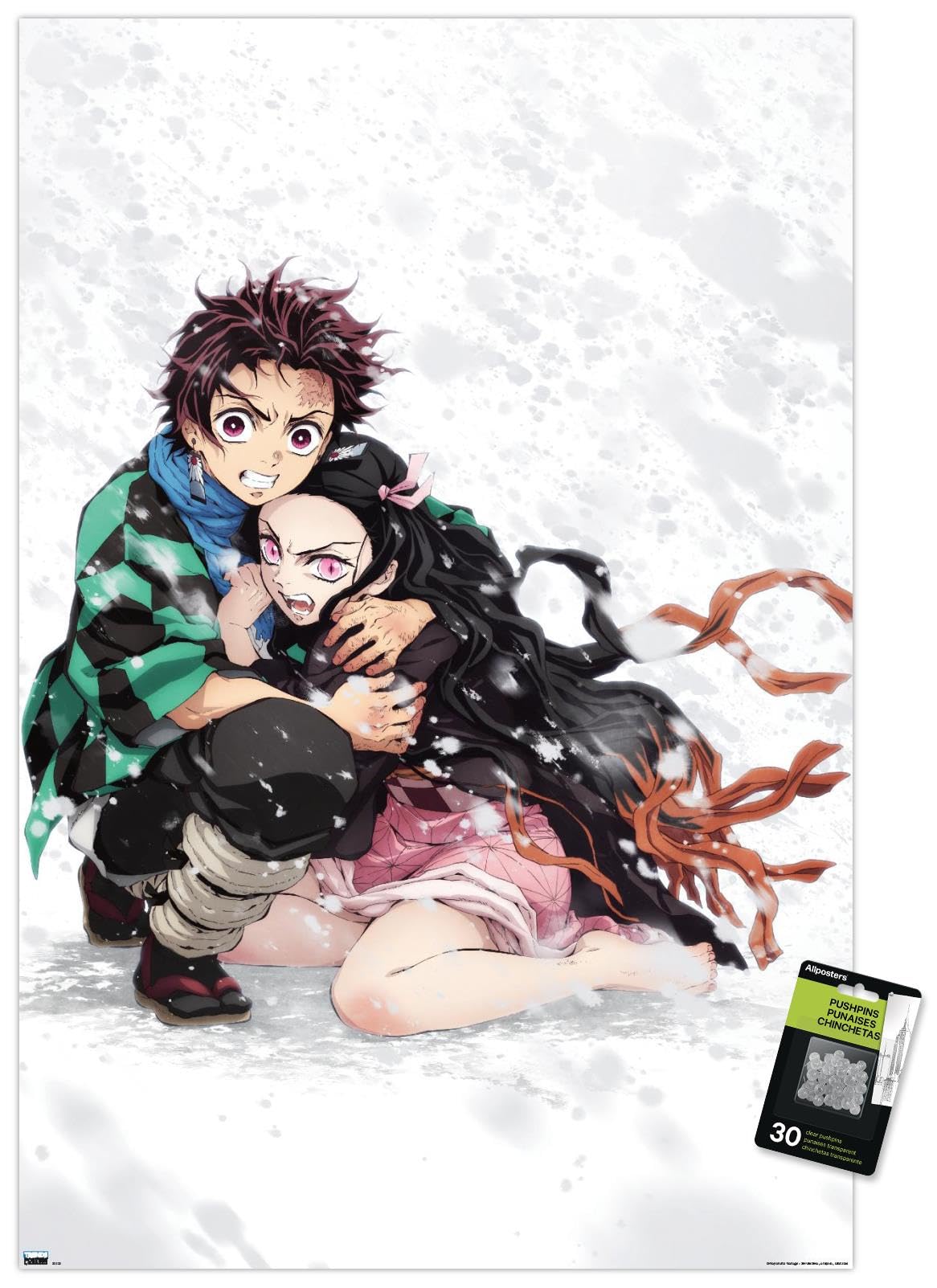 Amazon.co.jp: Trends International 鬼滅の刃 - 炭治郎&ねずこ雪壁