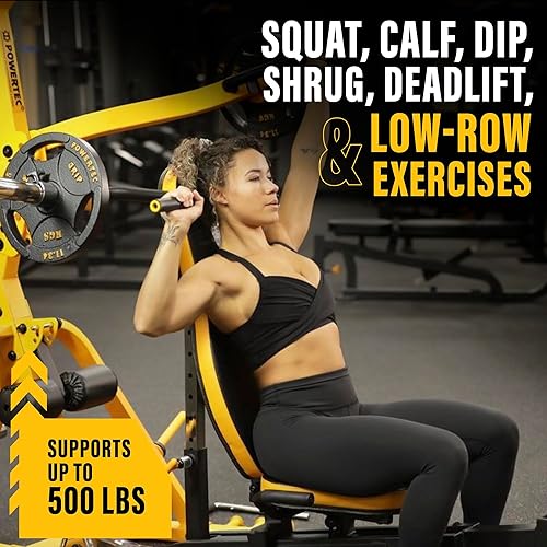 Miniatura 5 de Powertec Fitness Workbench LeverSystem - Workout Bench, 500 LB Weight Capacity - Gym Equipment for Home - Adjustable Full Body Workout Machine