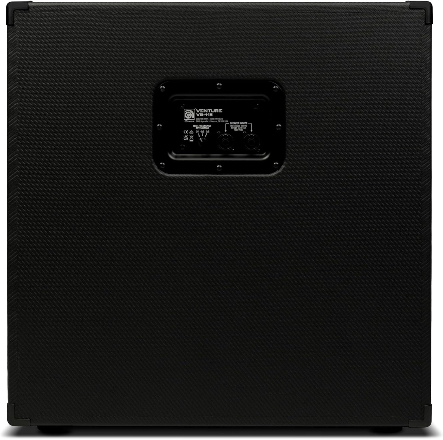 posterior view de la Ampeg VB-115 Bass Cabinet showing input jacks