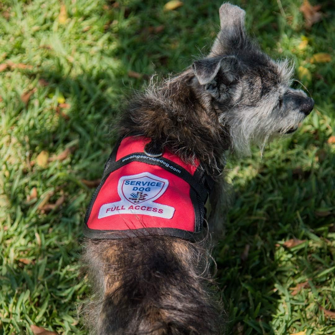 Premium Service Dog Mesh Full Access Vest - (18 - 22" Girth, Red) - Includes Five Service Dog Law Handout Cards