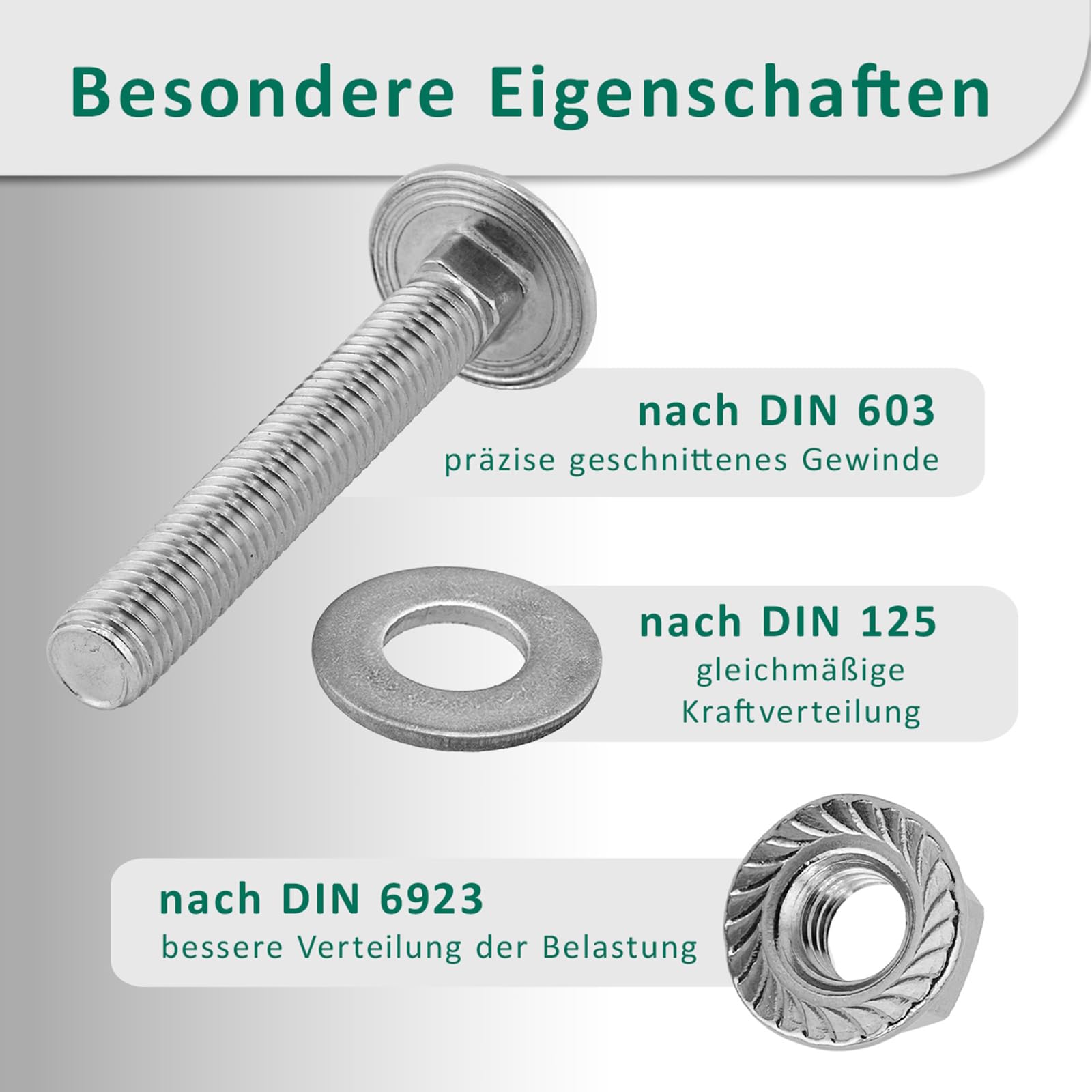 DSM – śruby zamkowe M12 x 25 mm zgodnie z DIN 603 – nakrętka kołnierzowa M12 z zębami blokującymi DIN 6923 i podkładką DIN 125 – stal nierdzewna A2/V2A – śruby z łbem płaskim – nakrętka sześciokątna