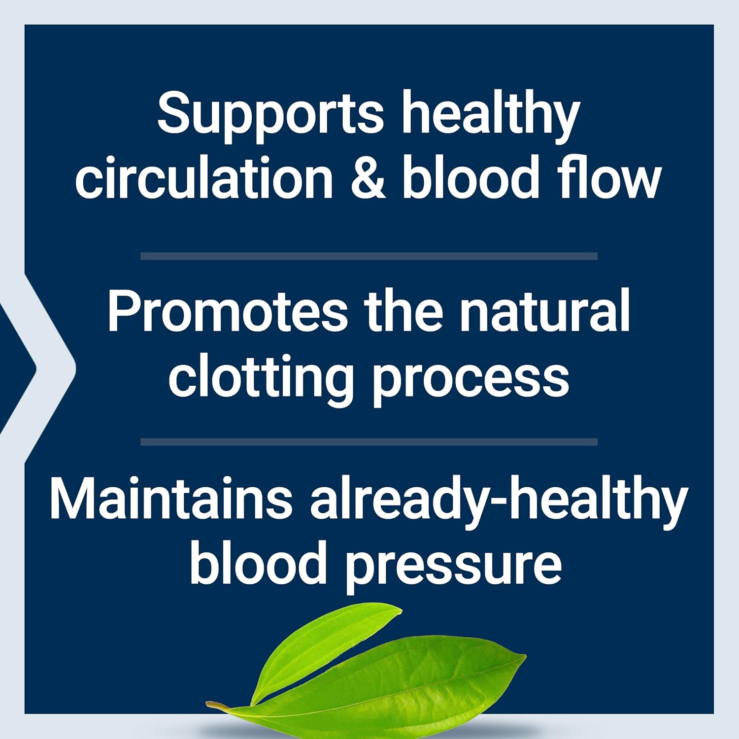 Life Extension VenoFlow™, nattokinase Enzyme, French Maritime Pine bark Extract, Supports Healthy Vascular Function, arm and Leg Circulation, Gluten Free, Non-GMO, Vegetarian, 1-Daily, 30 Capsules - Image 4