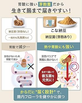 納豆100 楽天市場】ドライなっとう ＜味違い5種類セット＞ 110g×5袋