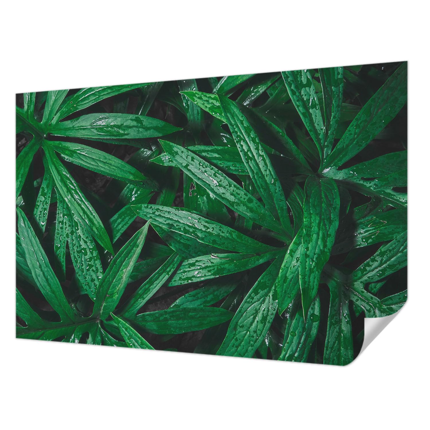 Papier Peint Adhésif Verdure Naturelle pour une Chambre Moderne et Cosy