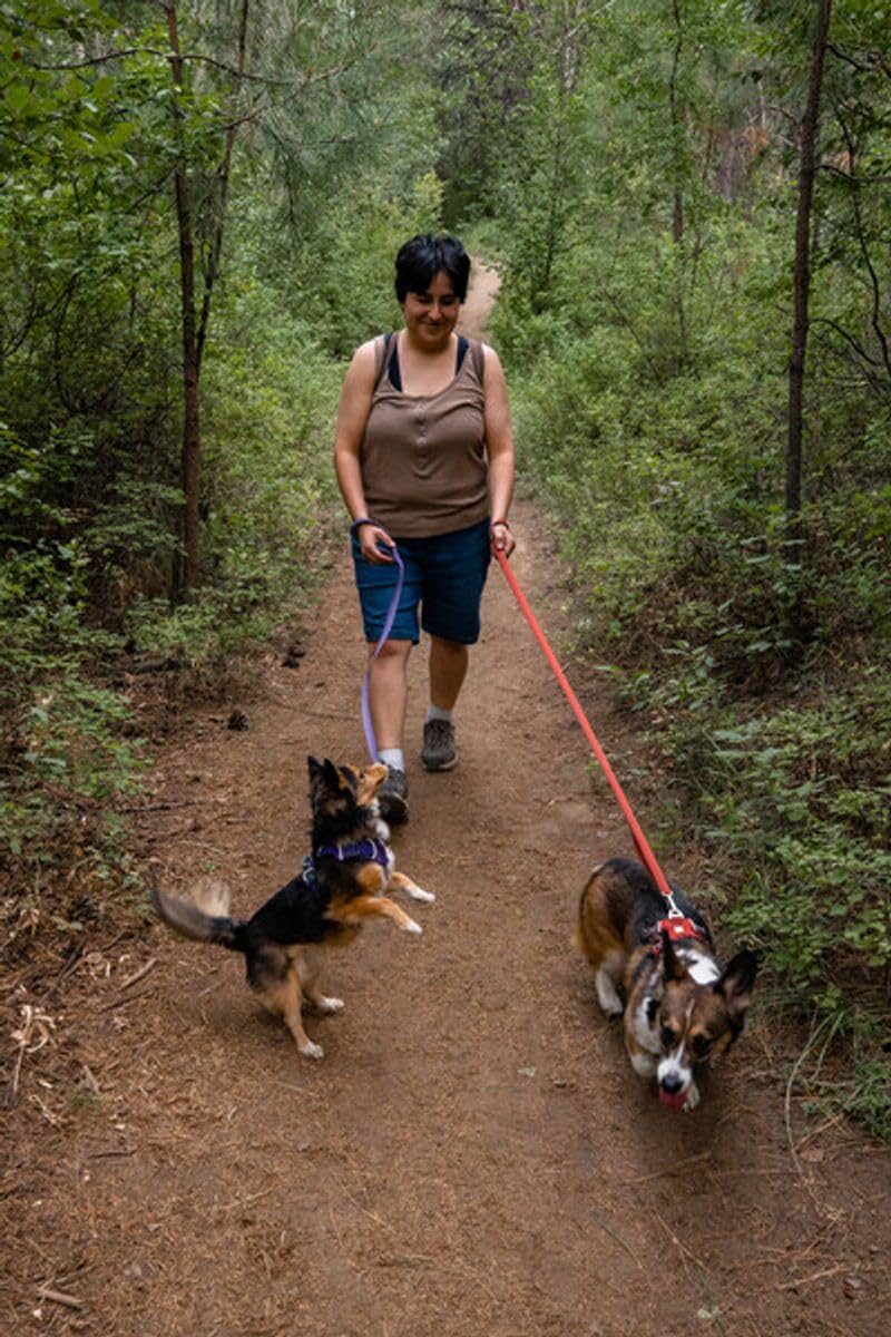 RUFFWEAR Correa de Perro, Front Range Leas, Ligera y Duradera, 1,5 m con manija Acolchada y Clip Crux Giratorio Seguro, Correa Tubelok compacta y aerodinámica, Red Clay