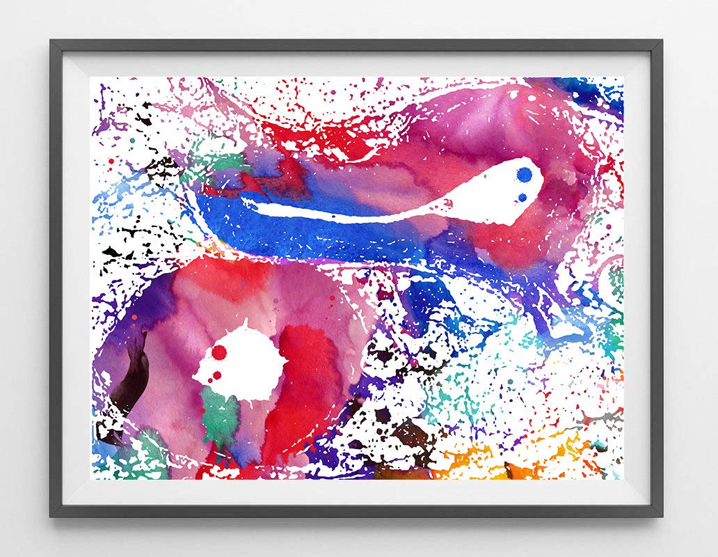 Buy ntART Artery and Vein Cross Section Histology Art Print Circulatory