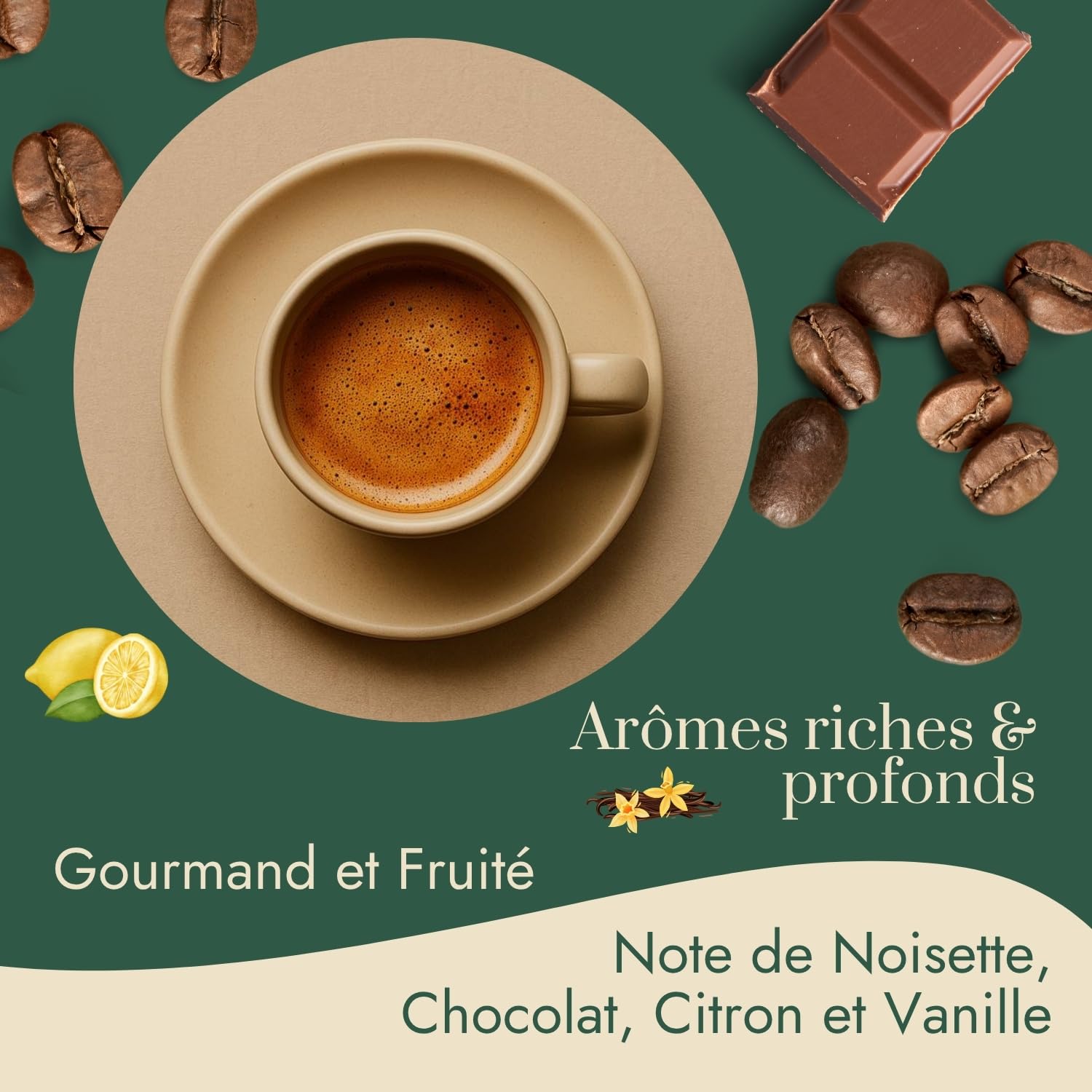 Graindecafé – Café Vert République Dominicaine 1kg | 100% Arabica Non Torréfié | De Montagne Rond & Gourmand | Notes De Chocolat Noix Fruits Jaunes | Idéal Machine À Grain Une Fois Torréfié