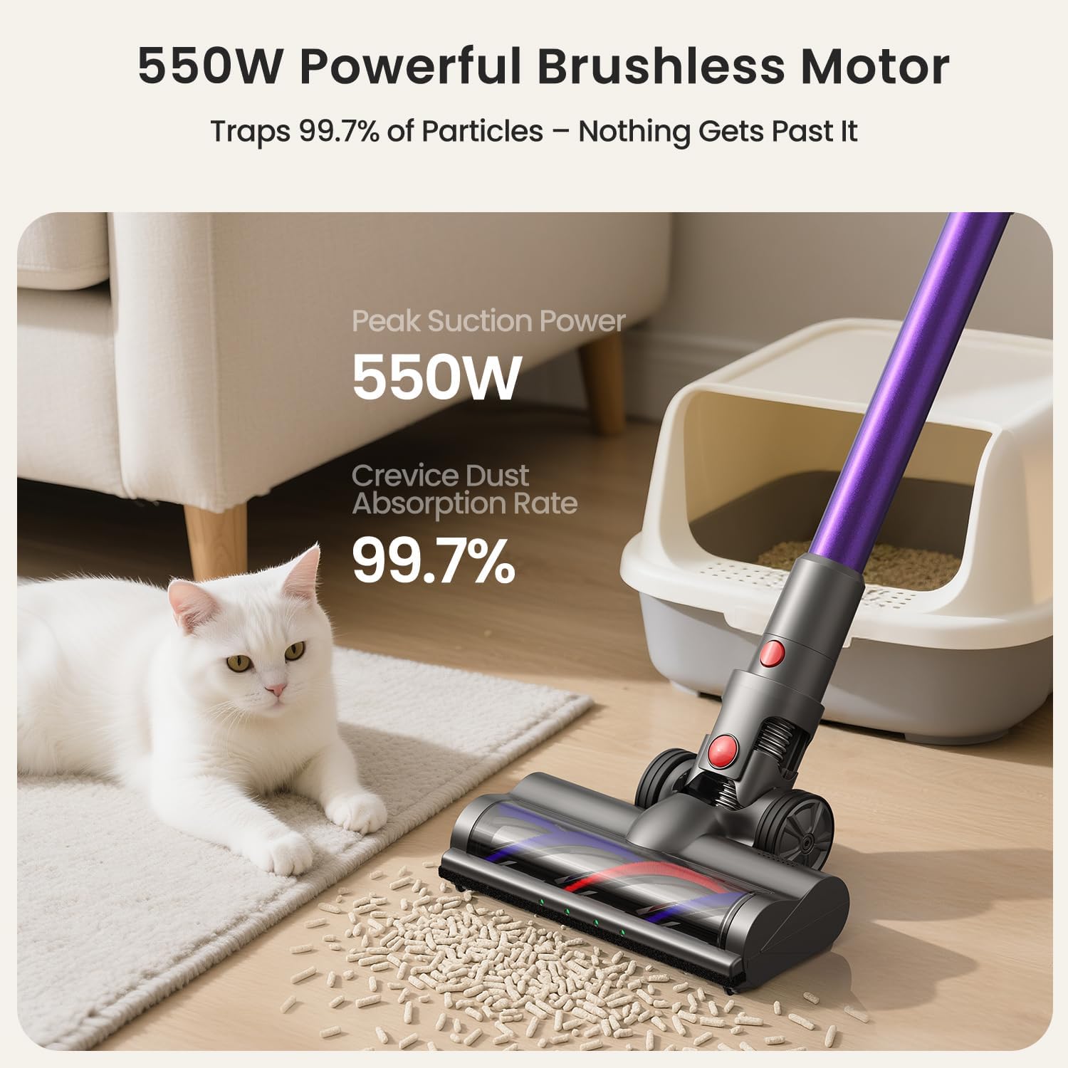 Xlife P12 vacuum cleaner head on a rug with a cat nearby, highlighting 550W peak suction power