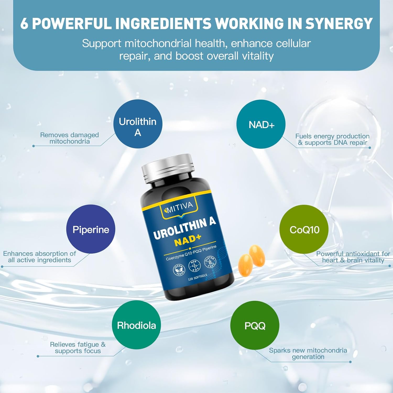 Urolithin A Supplement with NAD+, CoQ10 & PQQ – Antioxidants and Mitochondrial Support for Vitality and Healthy Aging – Focus & Muscle Recovery for Men and Women – 120 Softgels - Image 2