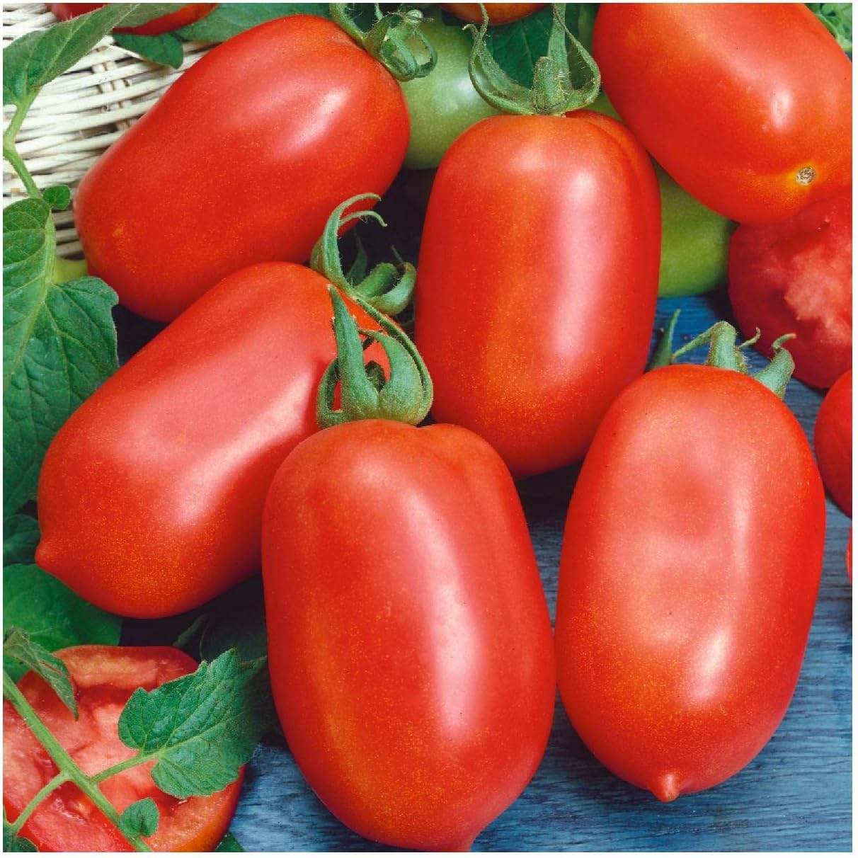 Everwilde Farms - 1/4 Lb Roma Tomato Seeds - Gold Vault