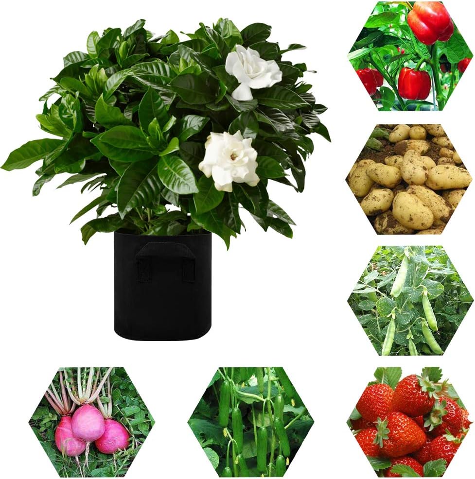 10 Pack 10 Gallon Grow Bags - Black Breathable Fabric Pots Heavy Duty Aeration Fabric Pots Thickened Nonwoven Fabric Pots Plant Grow Bags with Handle