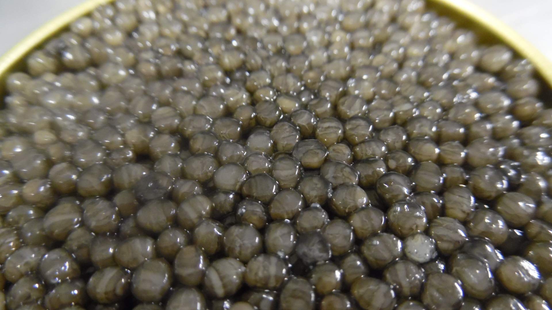 Caviar Beluga (Huso Huso) 50 gr