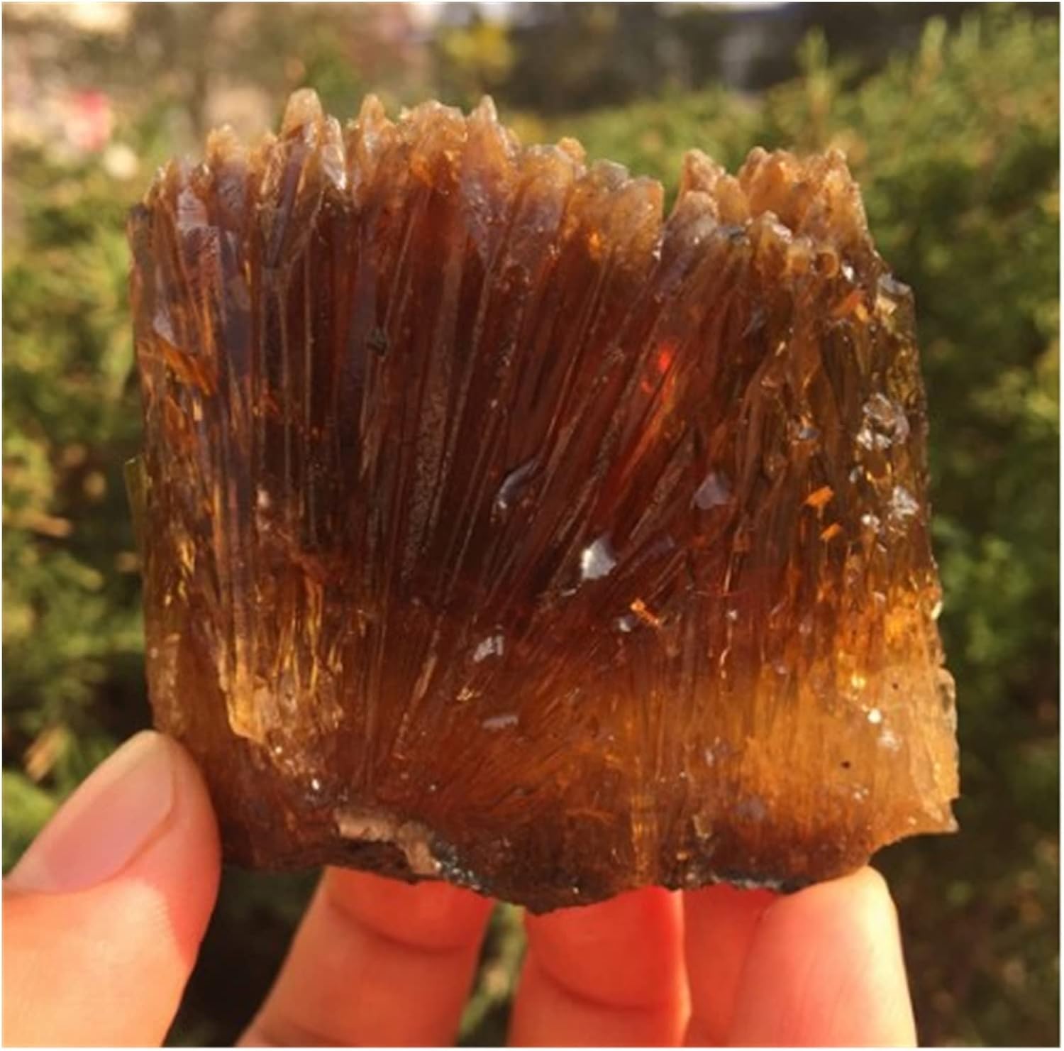 ガネッシュヒマール/ヒンドゥン地区産]ヒマラヤ水晶原石ナチュラル