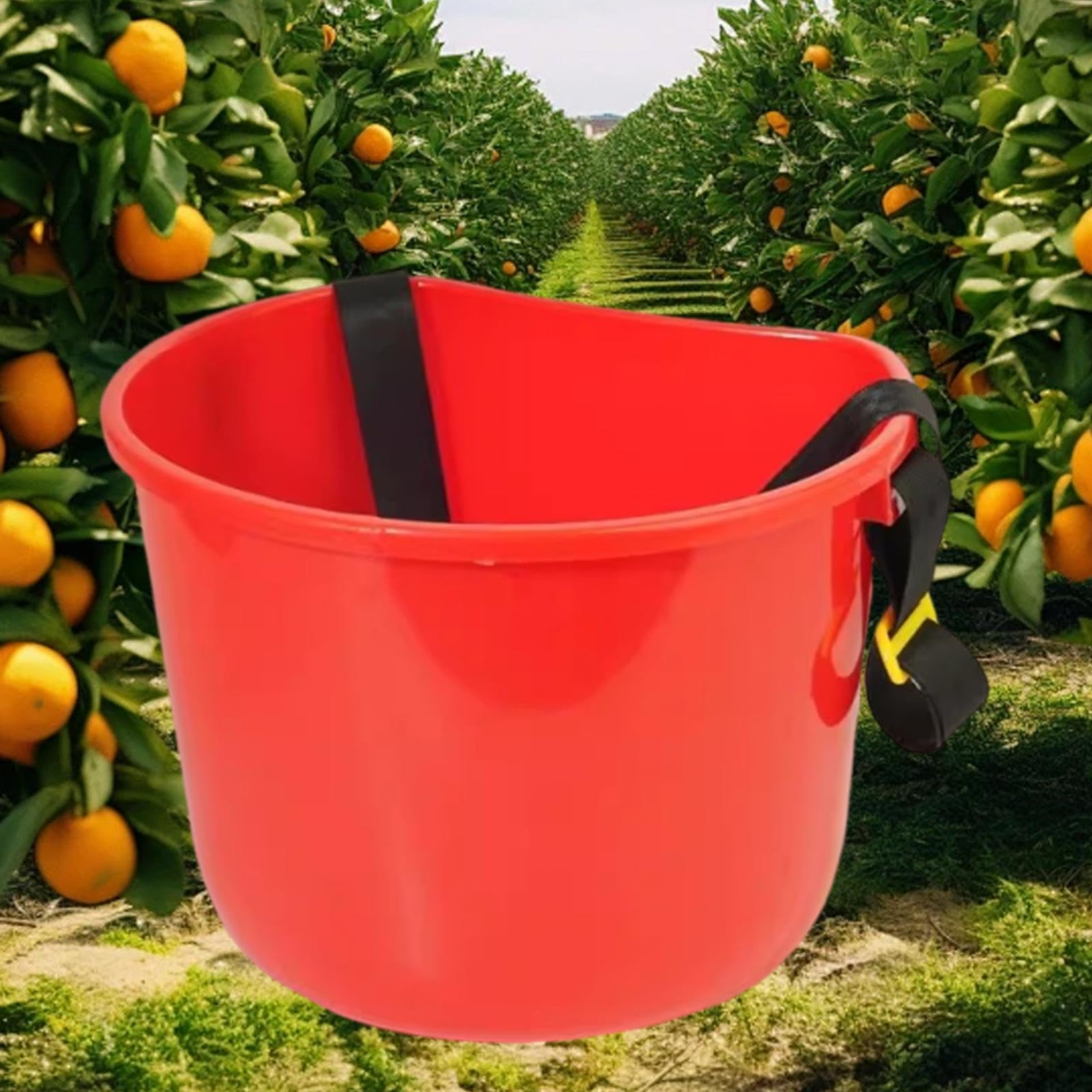 Cesto per La Raccolta di Bacche, Cesto per La Raccolta Della Frutta, Contenitore per Prato, Giardino
