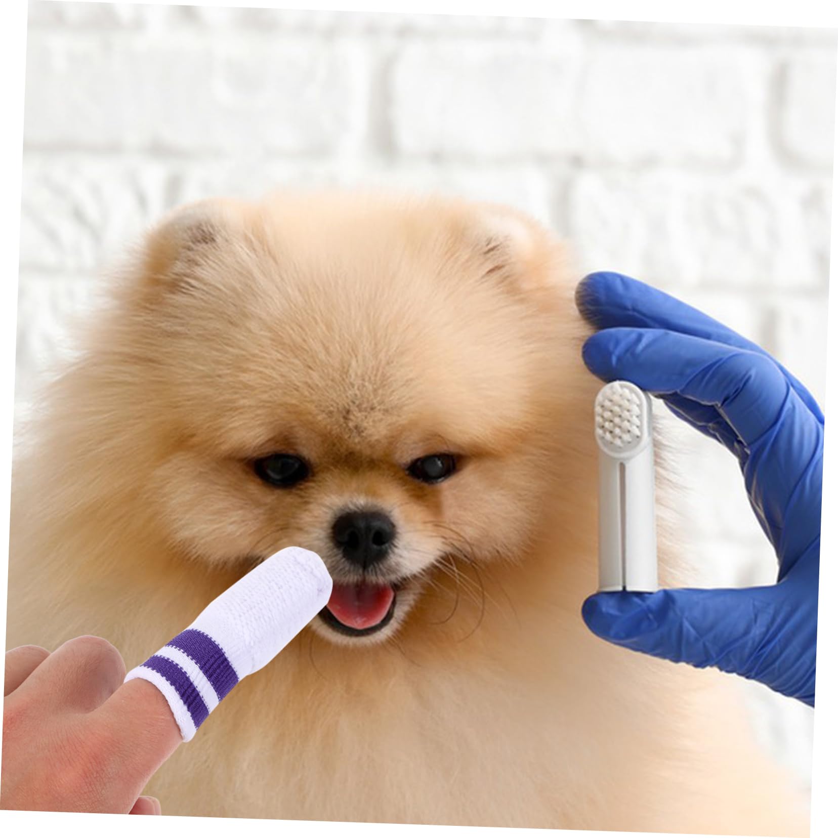 Sosoport 30stücke Fingerzahnbürsten Für Hunde Und Katzen Sanfte Zahnpflege Mit Weichen Nylon-borsten Für Frischen Atem Und Gesunde Zähne Für Haustiergrößen