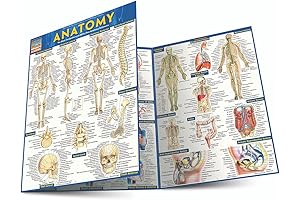 Anatomy QuickStudy Laminated Reference Guide