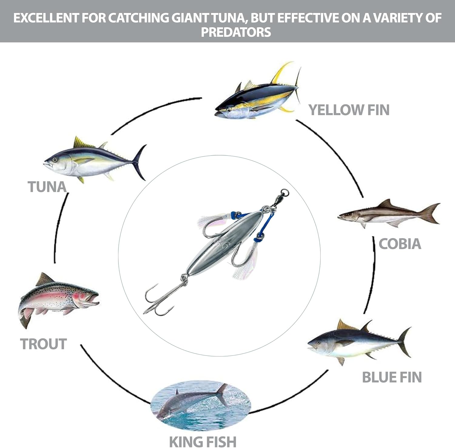 5" Eddie Bomb Vertical Flat Fall Jigs 16oz, 2 Pcs Chrome, for Bluefin Tuna Jigging, Rigged & Unrigged, Ideal for Heavy BFT Saltwater Fishing