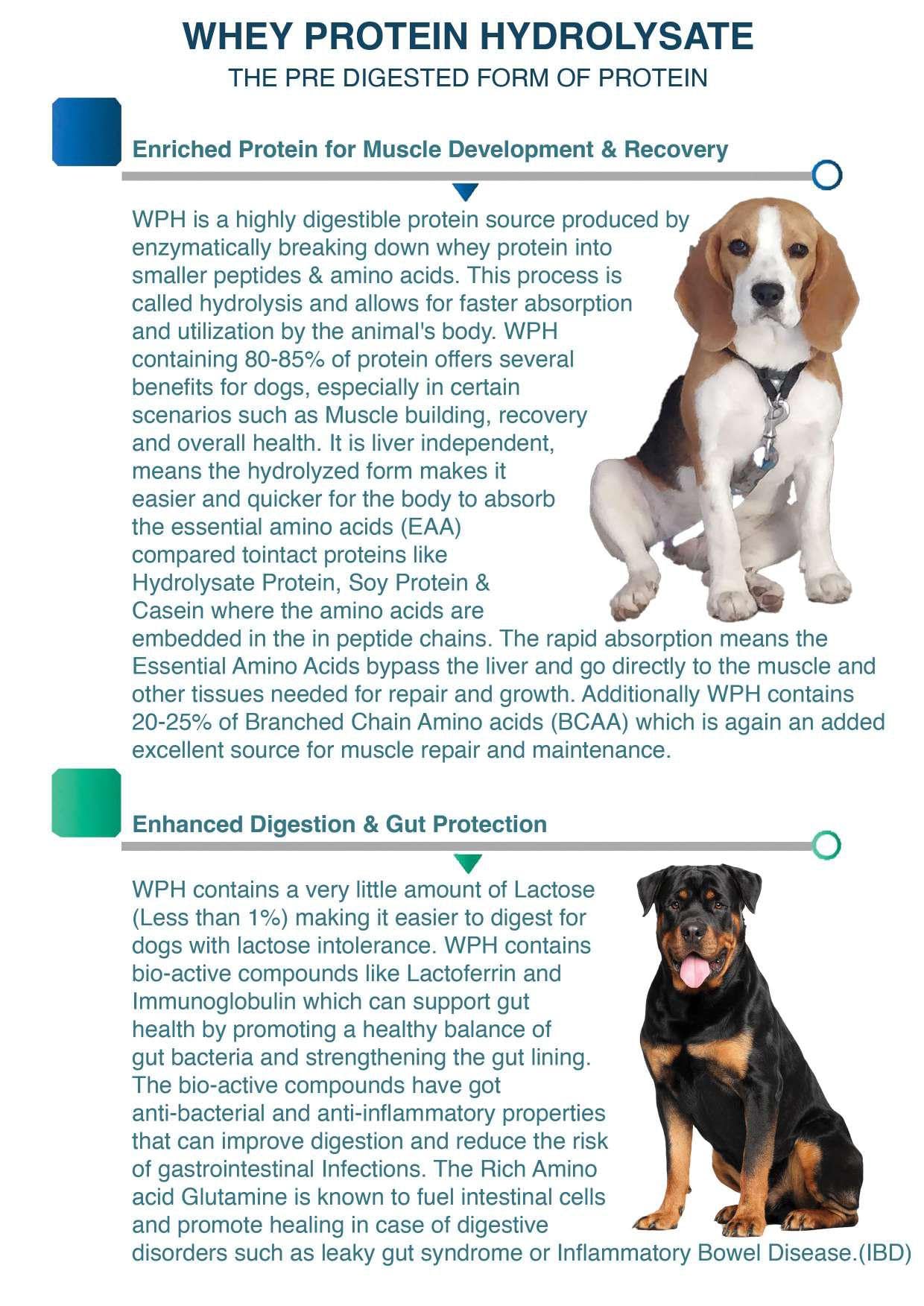 Doggie Power - Protein Powder with 8 Essential Amino acids | 14 Vitamins and Minerals for Dog | Ever 2