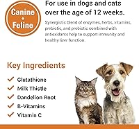 Vista 5 de Vet Classics Suplemento de salud para mascotas para perros, gatos, funciones hepáticas, vitaminas B, glutatión, cardo mariano, tabletas blandas