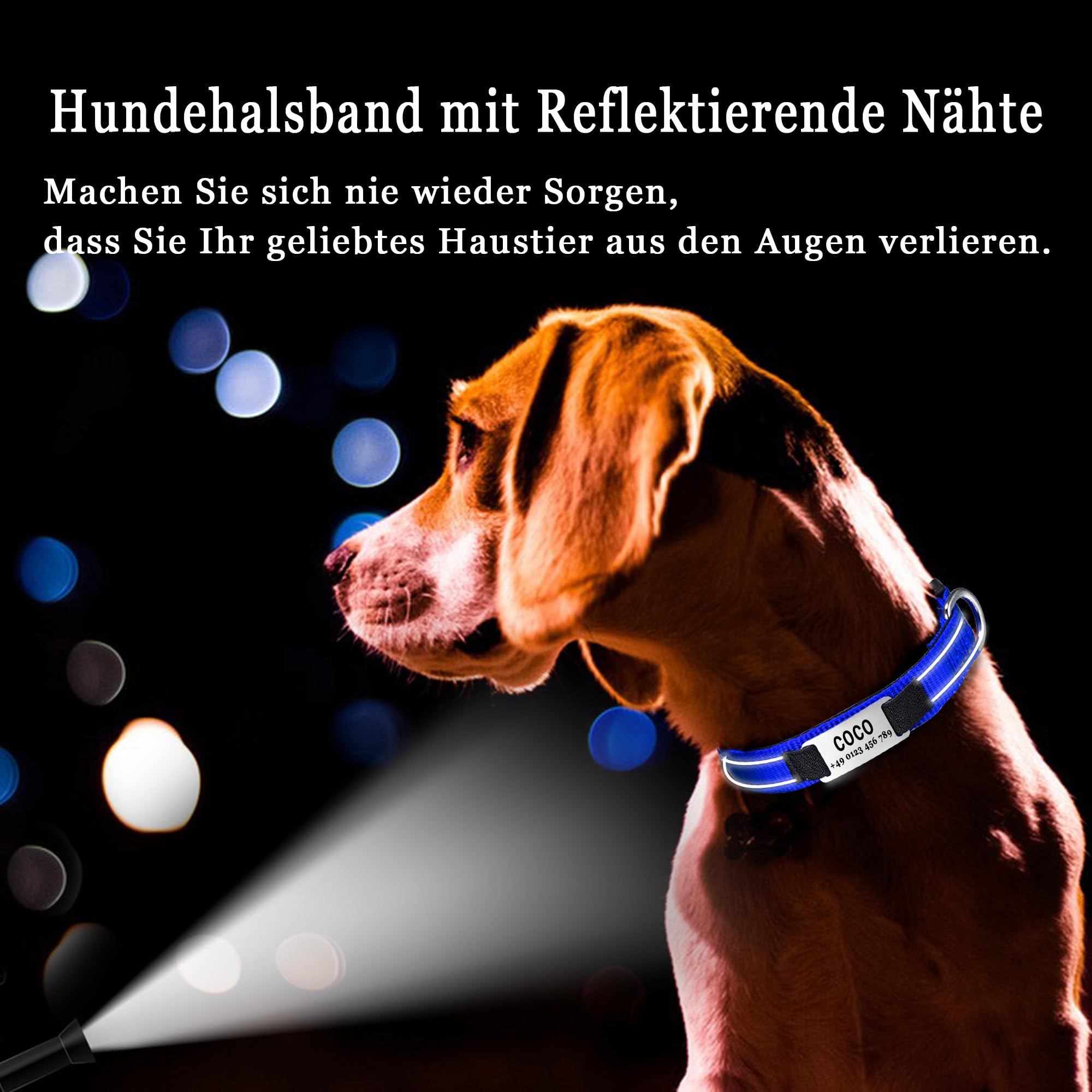 Personalisiertes Hundehalsband Mit Namensschild – Reflektierend & Mit Nieten | Leder-Optik Verstellbar
