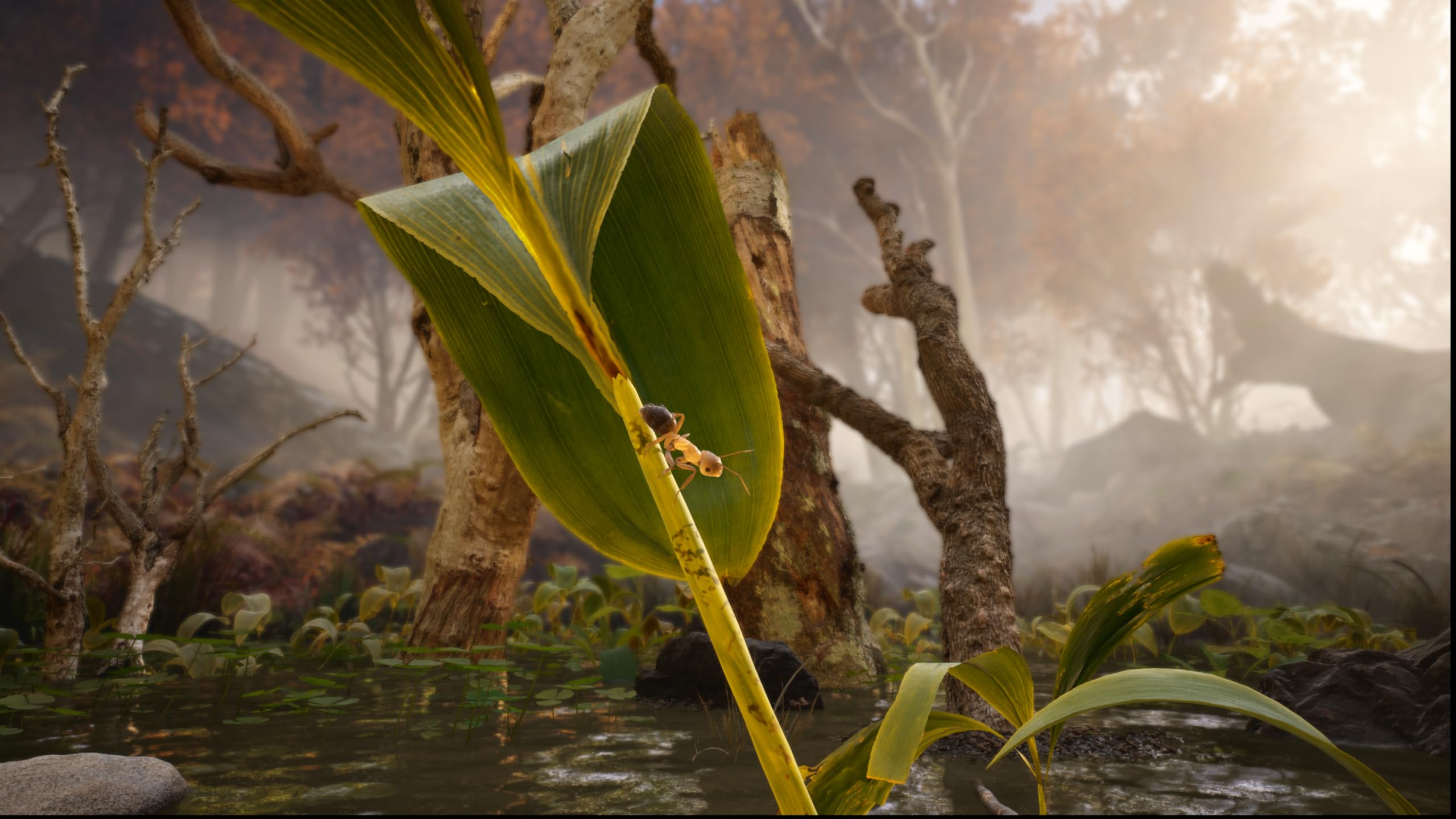 Empire of the Ants - Xbox Series X