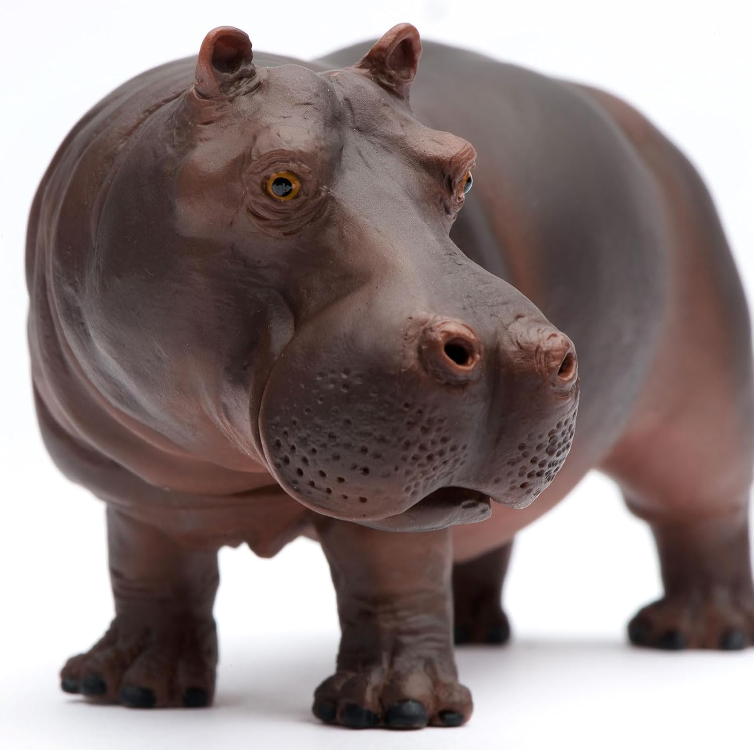 Safari Ltd. Hippopotamus Figurine - Realistic 5.5" Hippo Figure - Educational Toy for Boys, Girls, and Kids Ages 3+