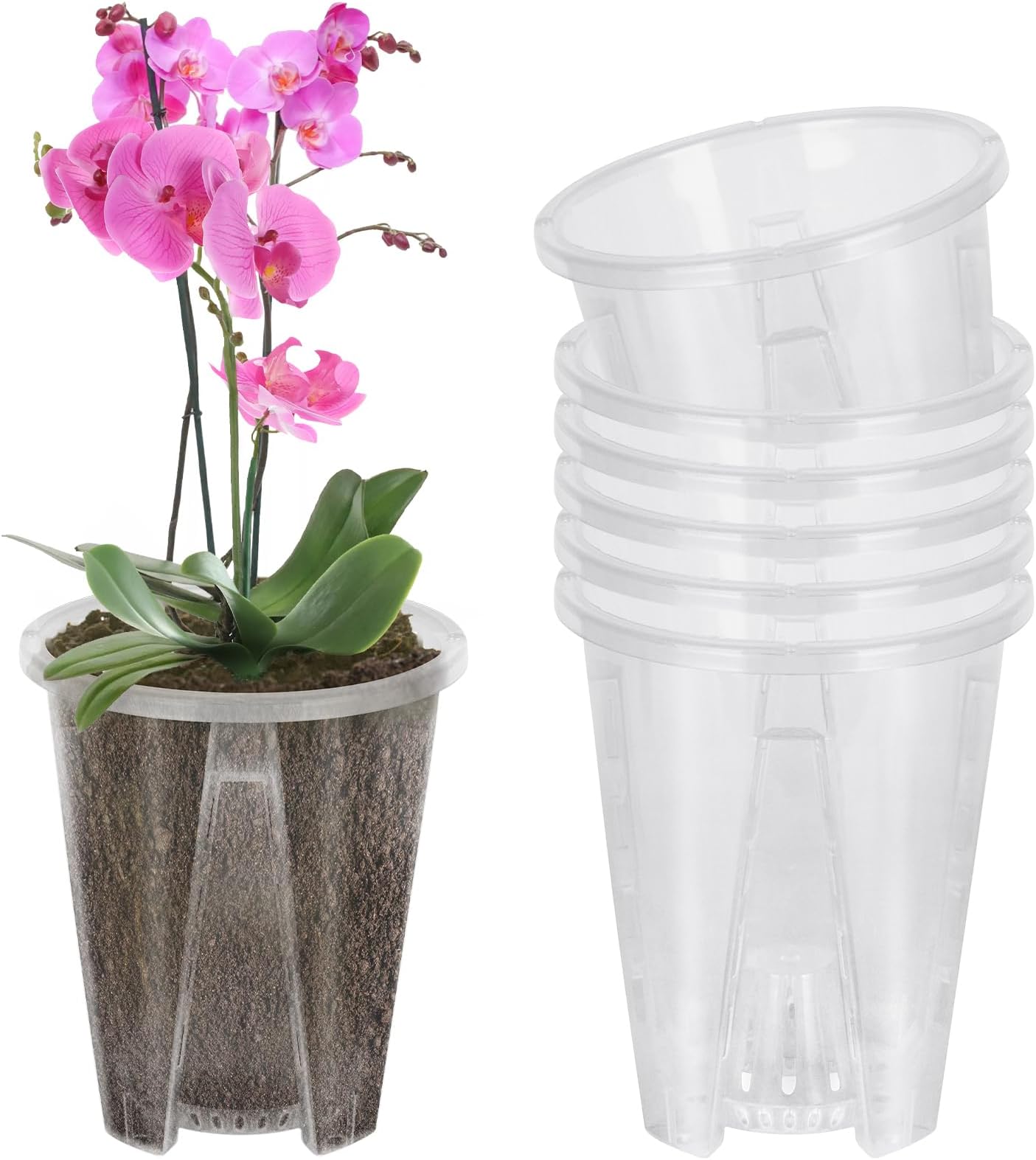 Transparente Ubertopfe Fur Orchideen