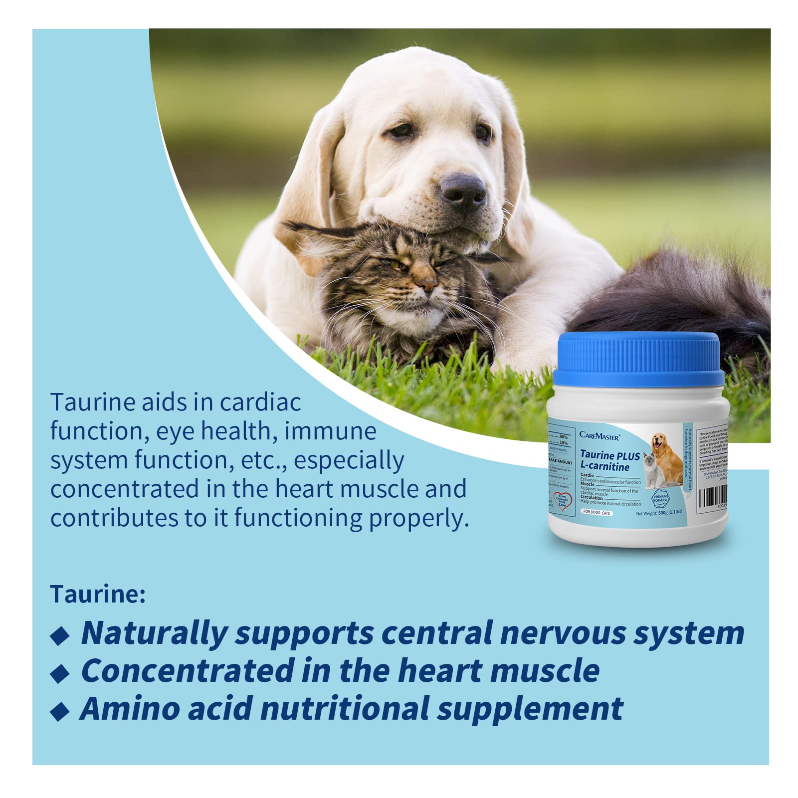 l carnitine injection 500mg how to take l carnitine tablets L Carnitine Injection 500mg/ml (Olympia  Compounding Pharmacy)