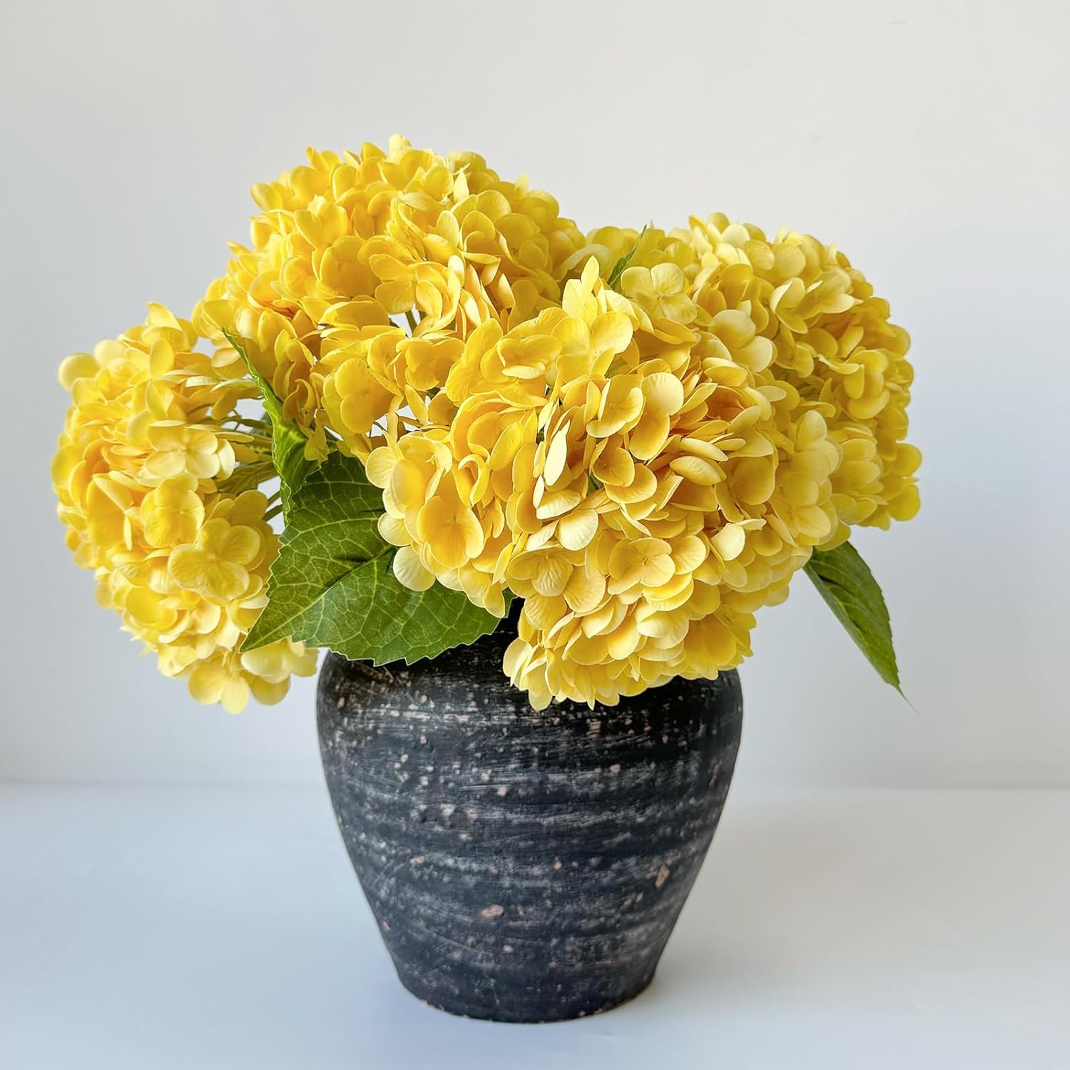 See full amazon price history chart for BeGrin Yellow Hydrangea Live Plant Hydrangea macrophylla Hydrangea Hydengia Hydenzia Hydrangia Macrophylla Flower Plant 1-1.5 ft For Outdoor and Indoor Pack of 1 Without Pot BeGrin Yellow Hydrangea Live Plant Hydrangea macrophylla Hydrangea Hydengia Hydenzia Hydrangia Macrophylla Flower Plant 1-1.5 ft For Outdoor and Indoor Pack of 1 Without Pot (B0D1CLJ391) Amazon Price History, Amazon Price Tracker