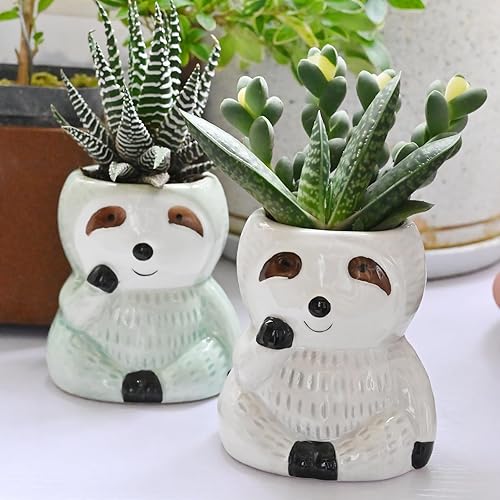 Miniatura 2 de Bonita maceta de perezoso para suculentas, maceta de cerámica con orificio de drenaje, adorable decoración de alféizar de ventana, ideal para cactus