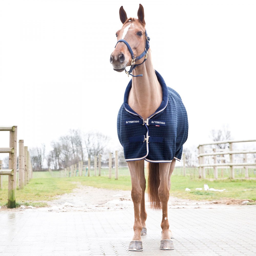 B Vertigo Theo Thermo Wool/Acrylic Stable Blanket