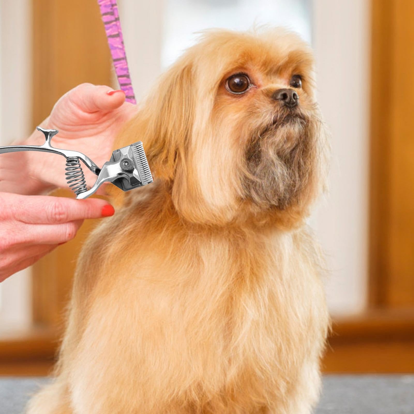 Cortapelos manual para perros, cortapelos manual para perros | Tijeras para el - Cortapelos para perros Tijeras para ovejas, Esquiladoras manuales para peluquería de animales Cortapelos portátil
