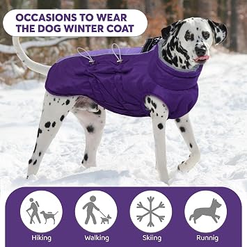 IDOMIK Warm Dog Coat with Harness, Waterproof Reflective Dog Jackets for Small Dogs, High Collar Winter Fleece Jacket Vest with Back Zipper, Pet Winter Coats Clothes for Cold Weather,Purple S