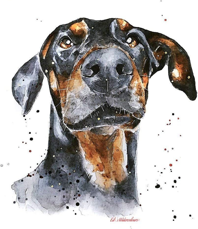 Doberman Regal - Print Watercolour, Doberman art, Doberman print, Doberman art print, Doberman wall decor