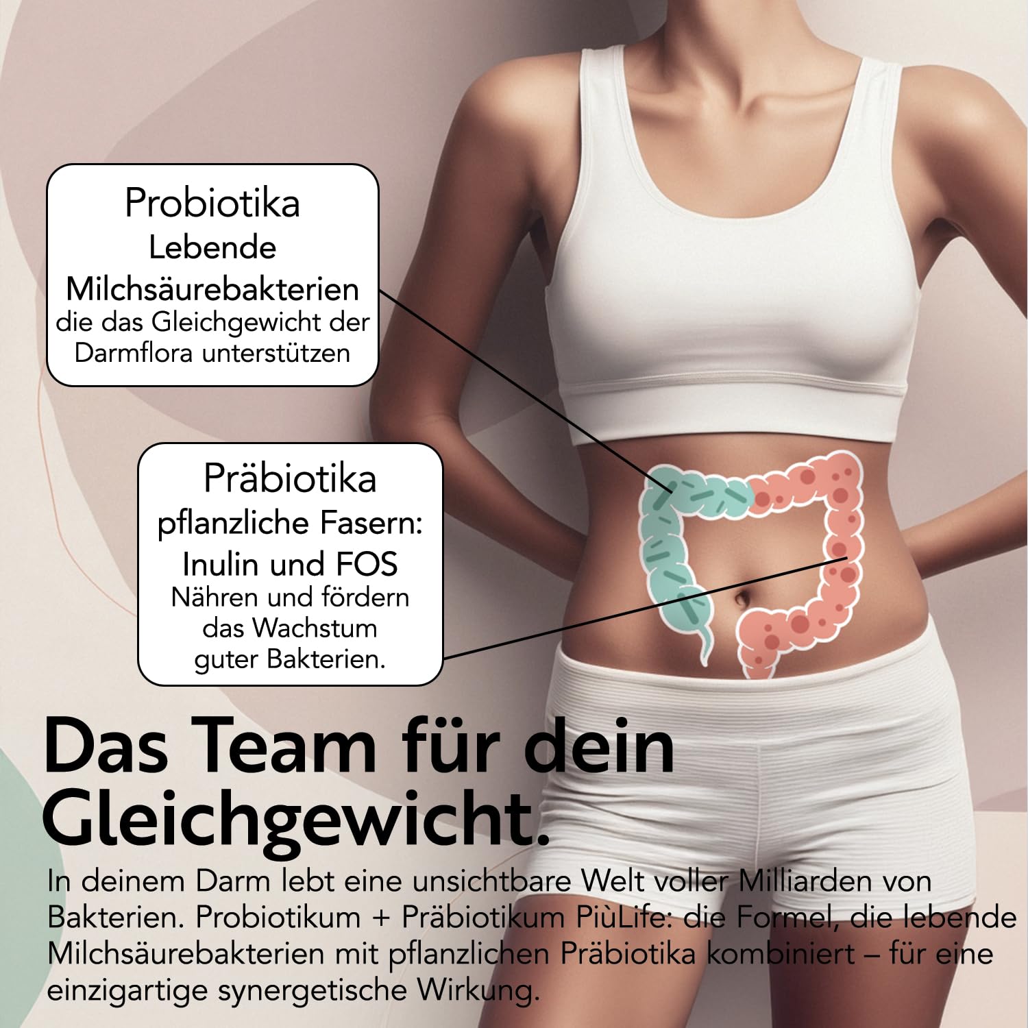 Probiotika & Präbiotika + Inulin & FOS PiùLife – 240 Darmbakterien Kapseln | 40 Mrd. KBE aus 20 Bakterienstämmen – Lactobacillus und Bifidobakterien – Nahrungsergänzungsmittel Darmbakterien Probiotika