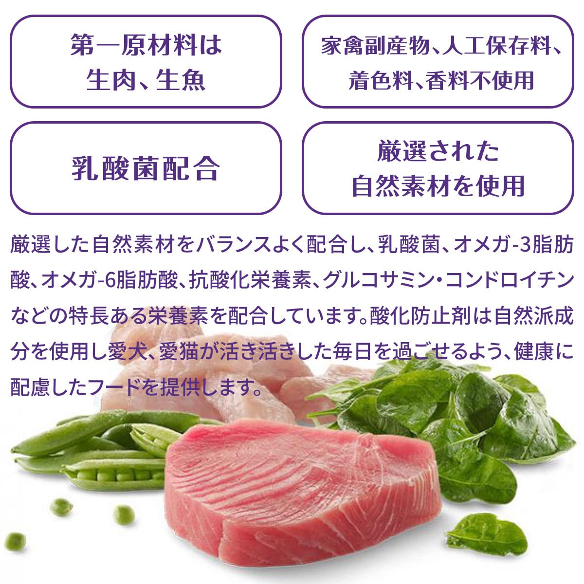 Wellness CORE 高タンパク質キャットフード 2袋 Amazon | ウェルネス コア キャットフード 高たんぱく質・穀物不